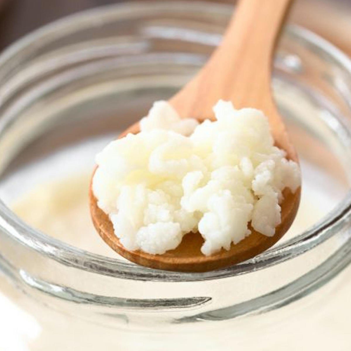 Real Kefir Starter Culture