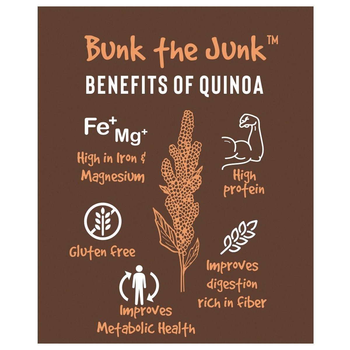 Quinoa Millet Energy Bars Loaded with Iron - 300 g