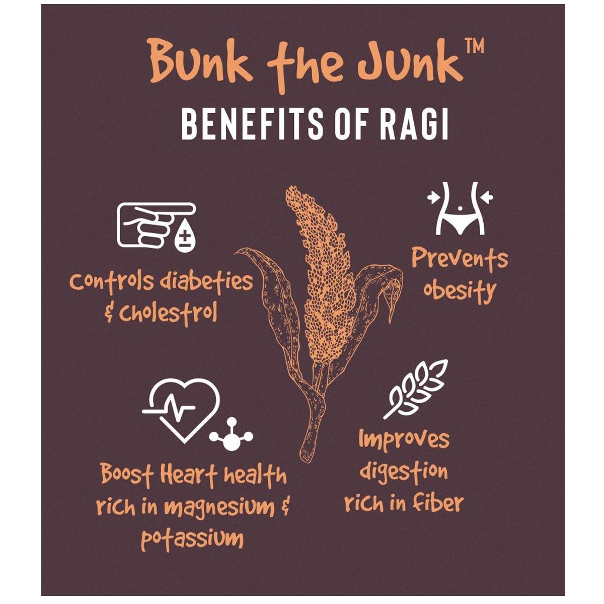 Ragi Millet Snack Bars Loaded with Calcium - 300 g